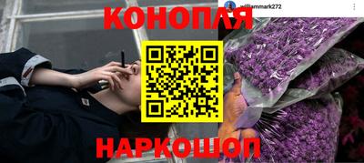 спайс Краснодар